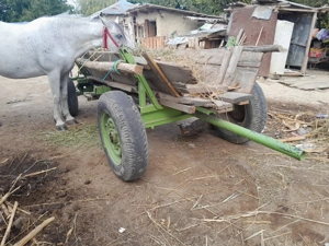 Vad căruță  buna pe verarie și pe butuci - imagine 2