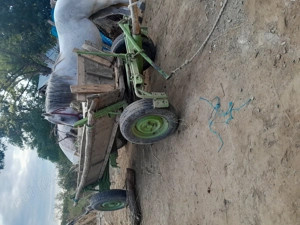 Vad căruță  buna pe verarie și pe butuci