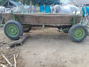 Vad căruță  buna pe verarie și pe butuci - imagine 3