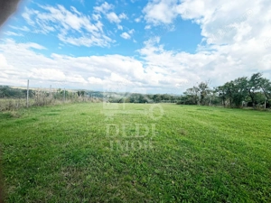 Casa de vanzare si teren de 3000mp in satul Calea Mare, Bihor - imagine 5 Casa de vanzare si teren de 3000mp in satul Calea Mare, Bihor - imagine 5