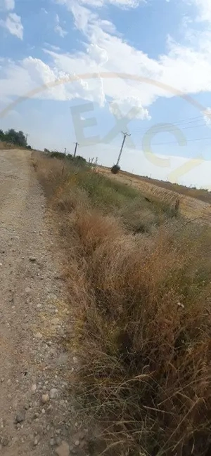 0% COMISION !!!  TEREN INTRAVILAN - BRADU