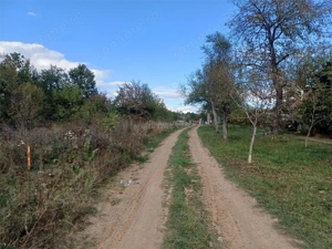 Resita, Teren Intravilan 2819 Mp., 16 Euro Mp., Calea Caransebesului, Km. 6 - imagine 14