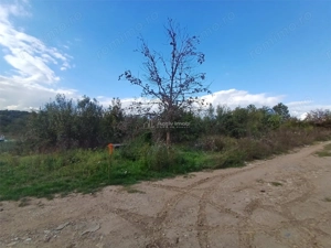 Resita, Teren Intravilan 2819 Mp., 16 Euro Mp., Calea Caransebesului, Km. 6 - imagine 6