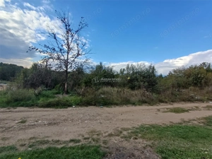 Resita, Teren Intravilan 2819 Mp., 16 Euro Mp., Calea Caransebesului, Km. 6 - imagine 7