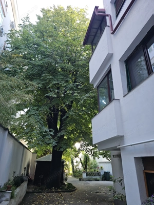 Stirbei Voda Cismigiu Ostasilor - Vila 10 camere S+P+2+M - teren 595 mp, singur curte, 1900000   - imagine 10