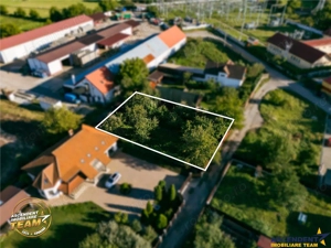 FILM! Casuta cu peste 800mp teren, areal estimabil, Lenin, Sfantu Gheorghe - imagine 14