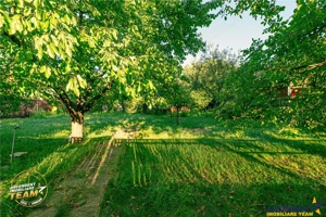 FILM! Casuta cu peste 800mp teren, areal estimabil, Lenin, Sfantu Gheorghe - imagine 7