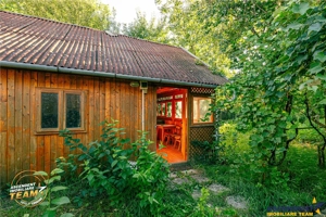 FILM! Casuta cu peste 800mp teren, areal estimabil, Lenin, Sfantu Gheorghe - imagine 3