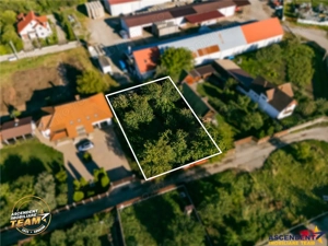 FILM! Casuta cu peste 800mp teren, areal estimabil, Lenin, Sfantu Gheorghe - imagine 4