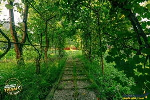 FILM! Casuta cu peste 800mp teren, areal estimabil, Lenin, Sfantu Gheorghe - imagine 9