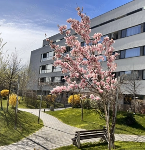 Apartament 2 camere nou, decomandat, 63 mp S.utilă - Lângă Lacul Străulești & Mall Colosseum, Sect.1 - imagine 11