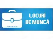 Personal in fabrici  depozite, agricultura etc. Strainatate;