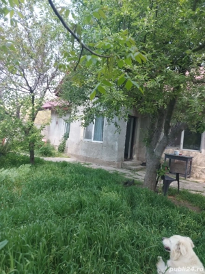 Casa cu grădină mare de închiriat  - imagine 3