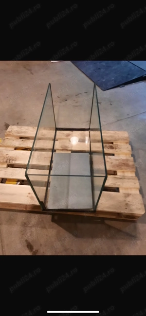 Broscute testoase  - imagine 2 Broscute testoase  - imagine 2