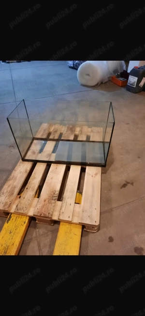 Broscute testoase  - imagine 3 Broscute testoase  - imagine 3