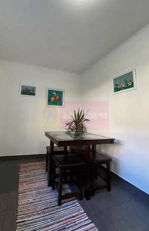 Casa/Vila  P+1 individuala | 3 camere | Domenii - imagine 12