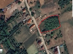 Vând o parcelă de teren intravilan, situată în localitatea Aluniș,la aprox 45 km de Cluj-Napoca - imagine 4