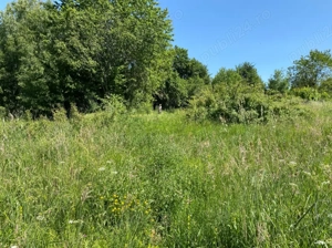 Vând parcele de teren situate la aproximativ 35 km de Cluj-Napoca, în localitatea Dângău Mare - imagine 9