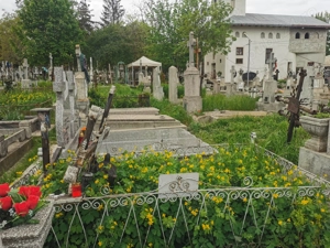  Vând loc de veci în cimitirul Sf. Vasile, Iași