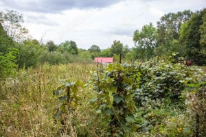 Vând casă și teren în satul Costeni, comuna Tismana, județul Gorj.