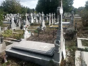 Loc de veci dublu - Ghencea 2 Domnesti, 6000 euro (negociabil) - imagine 2