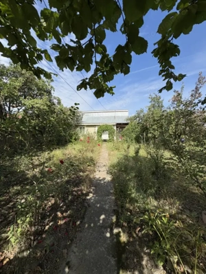 Teren de vânzare,Fântânele - imagine 2