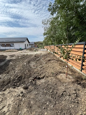 case pe parter la marginea padurii - imagine 8