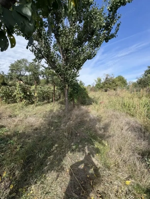 Teren de vânzare,Fântânele - imagine 4