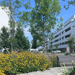 Apartament 2 camere nou-63 mp S.utilă - Zona Lacul Străulești-Mall Colosseum, Sector 1