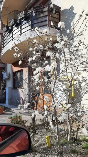  Vând ap 2cam, et2 plus Loc de parcare in Zonă  Rezidential.