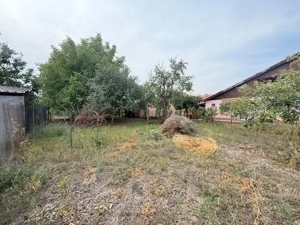 Casă individuală de vânzare, Mircea cel Bătrân, Timișoara - imagine 7