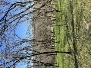 Vând o parcelă de teren intravilan, situată în localitatea Aluniș,la aprox 45 km de Cluj-Napoca - imagine 6