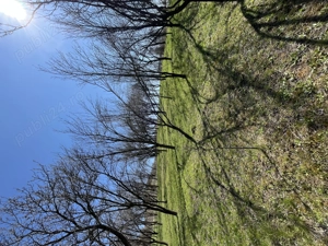 Vând o parcelă de teren intravilan, situată în localitatea Aluniș,la aprox 45 km de Cluj-Napoca - imagine 2