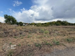 Teren intravilan 538 mp, curti constructii, Sacalaz, Tims