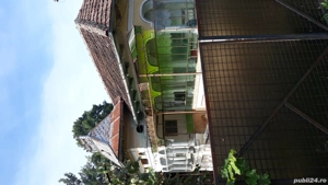 La vânzare două case locuibile și teren 1000 de mp în com. Pietrari, județul Vâlcea . - imagine 2