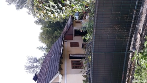 La vânzare două case locuibile și teren 1000 de mp în com. Pietrari, județul Vâlcea . - imagine 5