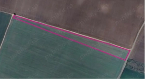 Teren extravilan 5000mp - imagine 3