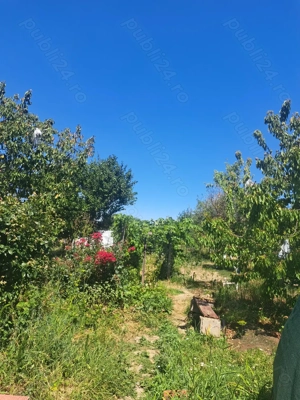 Vand Proprietate ( 2 case+ teren 1880mp)  în Parta, zona centrala - imagine 3