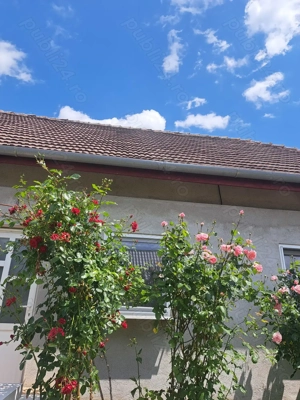 Vand Proprietate ( 2 case+ teren)  în Parta, zona centrala