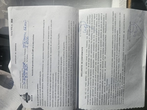 Ceas chinezesz fv2 11.2023 - imagine 3