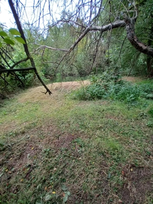 De vânzare casă bătrânească cu teren generos în Poiana Golului   Reșița - imagine 4