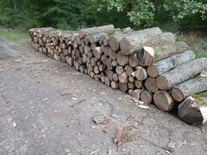 Lemne de foc de vânzare  - imagine 4