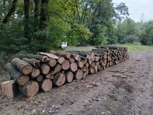 Lemne de foc de vânzare  - imagine 3