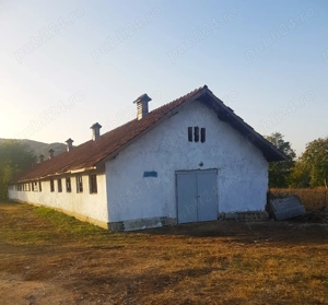  !!! Direct proprietar! De vânzare teren agricol cu fermă   proprietate rurală  Cislău, jud. Buzău  - imagine 3
