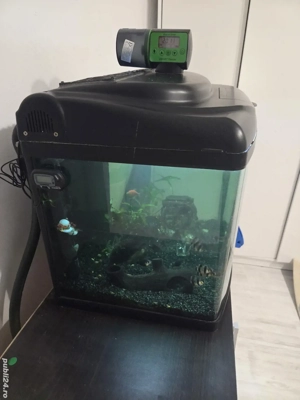 Acvariu curbat 60 litri - imagine 2 Acvariu curbat 60 litri - imagine 2