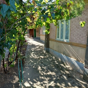 Casa si teren de vnzare in Comuna Salciile - imagine 6