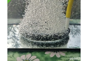 vand furtun poros pt lac iaz