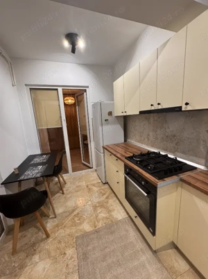 Regim Hotelier Rahova, Cazare Apartament Bucuresti, Sector 5, Unirii, Tineretului, Parc - imagine 5