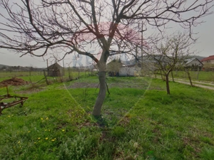 Casă / Vilă cu 5 camere de vânzare în zona Sud - imagine 13 Casă / Vilă cu 5 camere de vânzare în zona Sud - imagine 13