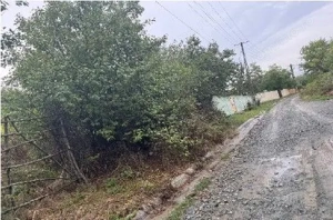 Teren Duta-Epureni, ID: R2757048 - imagine 10